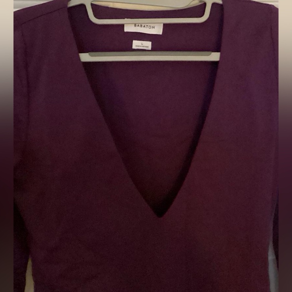 Babaton - Aritzia V-Neck Bodysuit